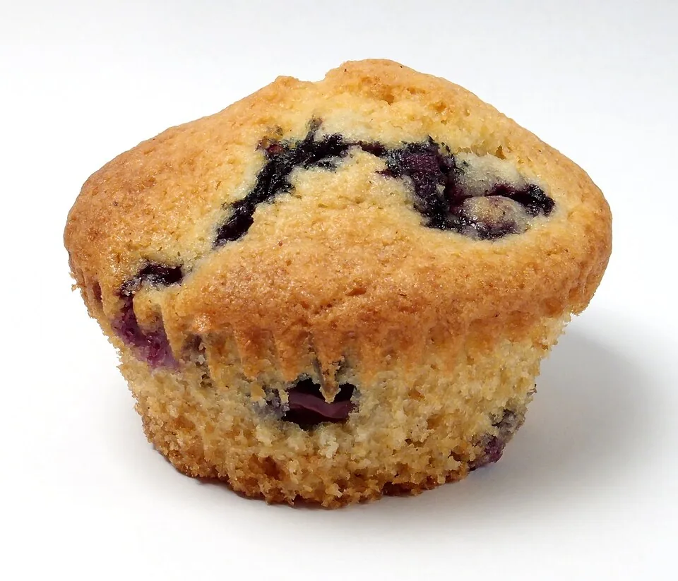 Blueberry Muffin recipe