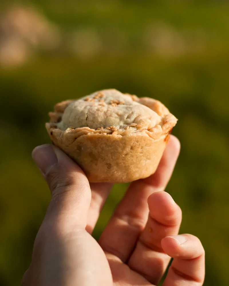 Chicken Pot Pie recipe