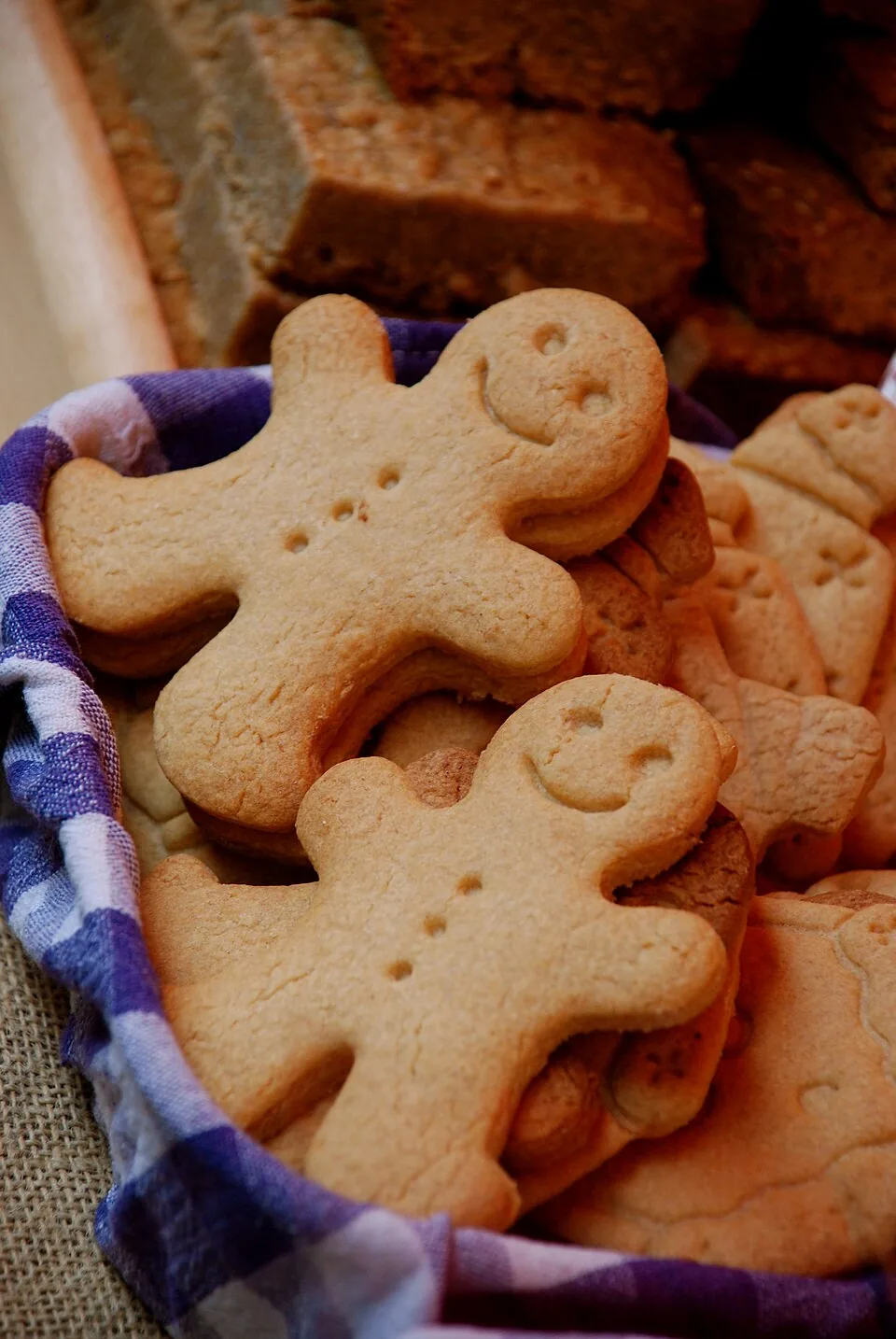 Easy Gingerbread Cookies recipe
