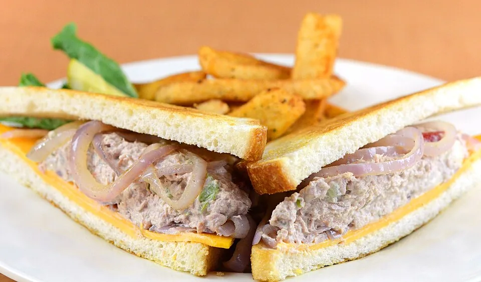 Easy Tuna Melt Sandwich recipe